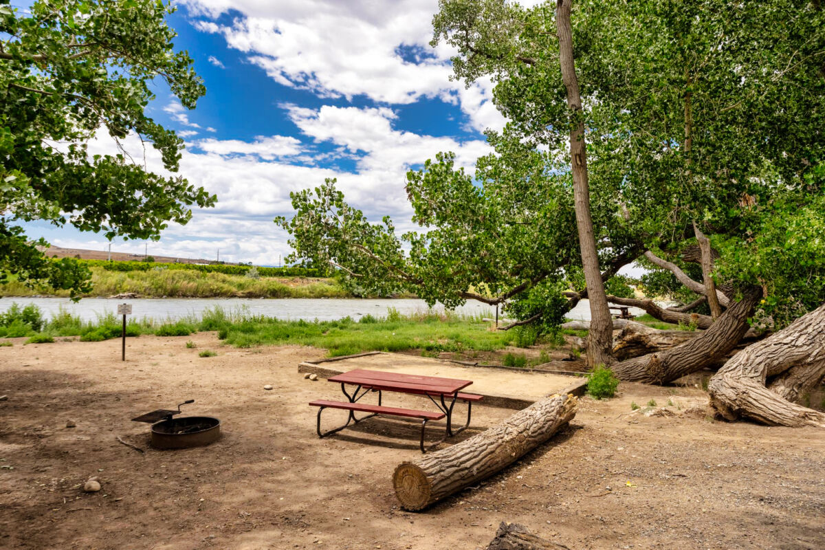Colorado River Camping Palisade Basecamp RV Resort