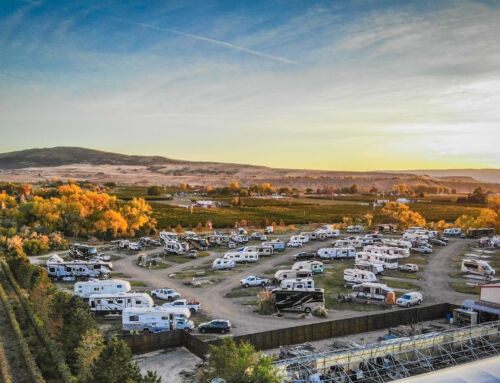 RV Camping Tips for Beginners